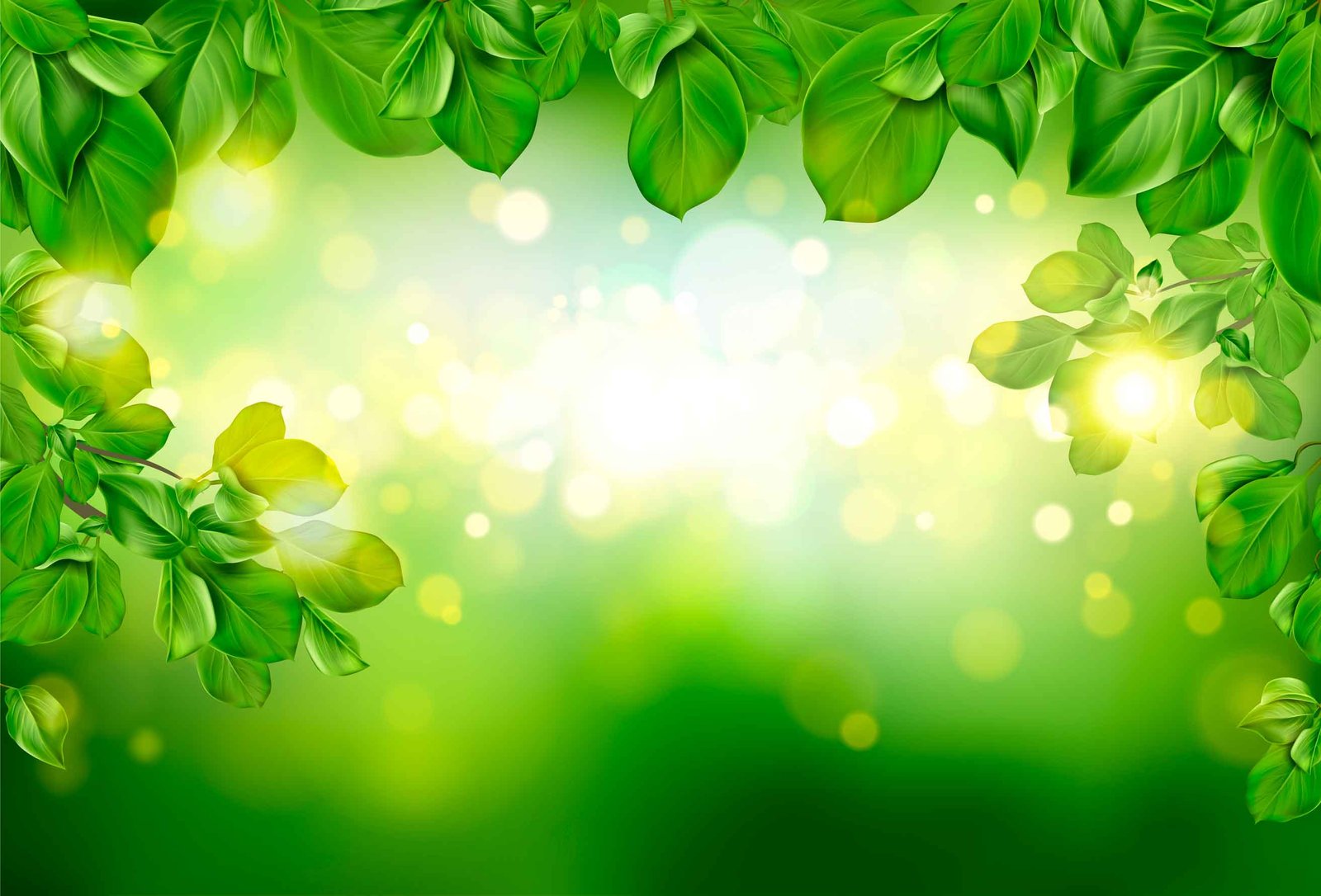 Fundo de floresta com folhas verdes